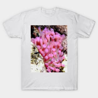 Hot Pink Sea Anemone T-Shirt